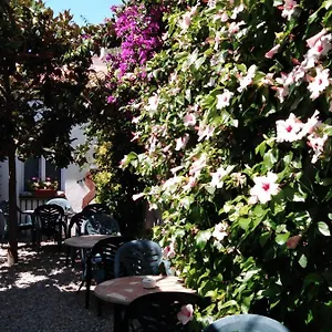  Hotel Mitus Spanje